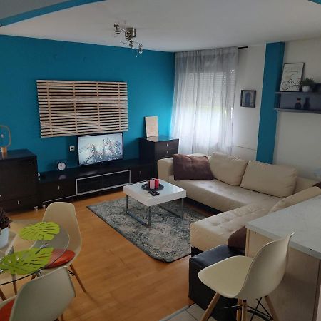 Studio Apartman Karler カルロヴァッツ エクステリア 写真