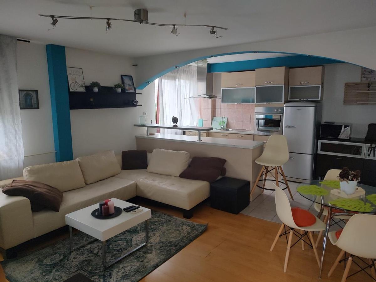 Studio Apartman Karler カルロヴァッツ エクステリア 写真
