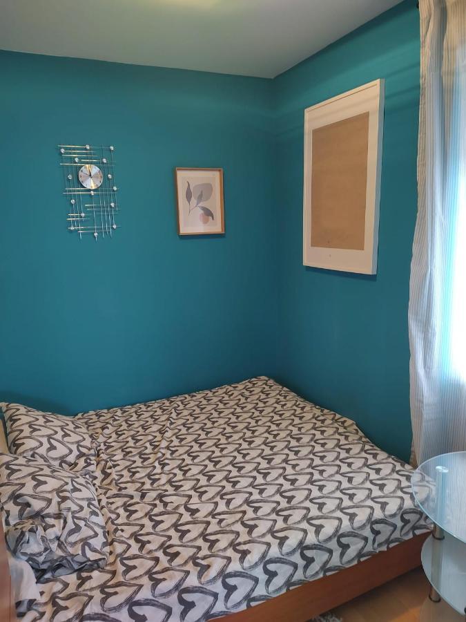 Studio Apartman Karler カルロヴァッツ エクステリア 写真