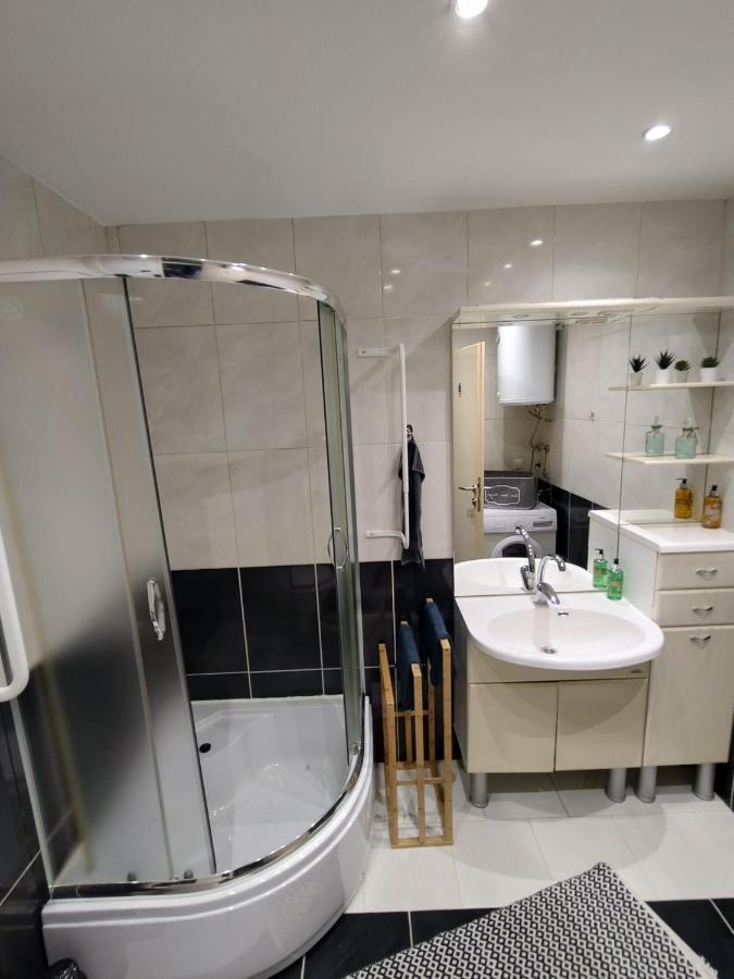 Studio Apartman Karler カルロヴァッツ エクステリア 写真